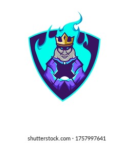 King wizard wearing a robe with old man face holding a magical ball esport logo suitable for team logo and mascot logo
