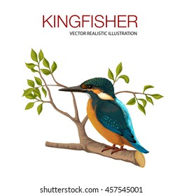 Kingfisher