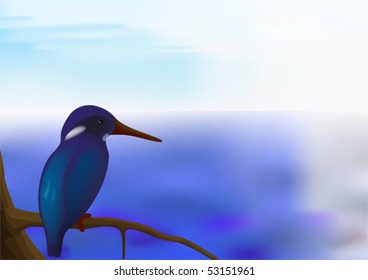 Kingfisher