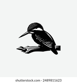 kingfisher abstract logo, bird, small bird sign, icon template