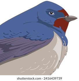 A Kingfisher beak vector illustration svg