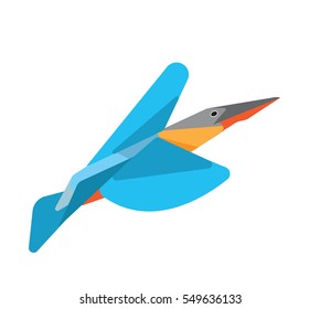 Kingfisher bird