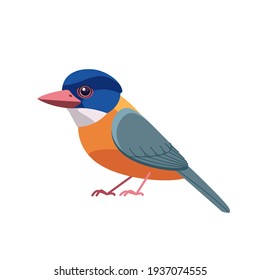 Kingfisher bird (Alcedo at this) Green-backed Kingfisher. Cartoon bird, beautiful character of ornithology, vector illustration isolated on white background