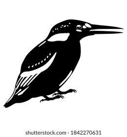 Pájaro pescador. Silueta lineal blanca y negra. Alcedo en esto.