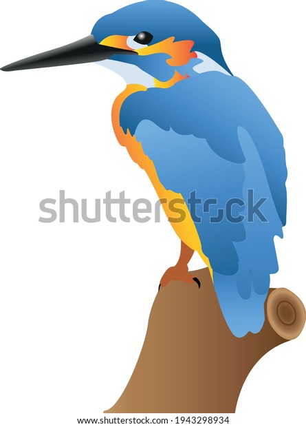 Kingfisher Bird on a tree. Drawn illustration,\
design elements. A bird with blue wings and an orange body with a\
long black beak.