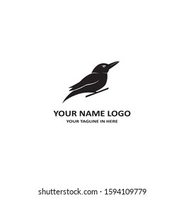 kingfisher bird is rare in Australia Asia, very suitable for the emblems of airlines and tourism logos