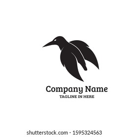 kingfisher bird is rare in Australia Asia, very suitable for the emblems of airlines and tourism logos