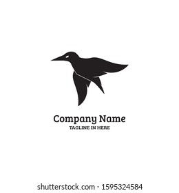 kingfisher bird is rare in Australia Asia, very suitable for the emblems of airlines and tourism logos