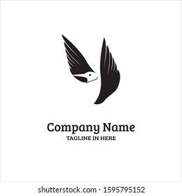 kingfisher bird is rare in Australia Asia, very suitable for the emblems of airlines and tourism logos