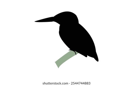 Kingfisher Bird Silhouette Design  And Vector Illustration. 