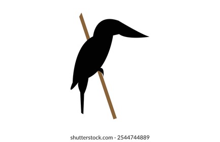Design De Silhueta De Pássaro Kingfisher E Ilustração De Vetor. 