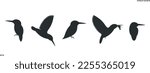 Kingfisher bird silhouette. Isolated kingfisher bird on white background