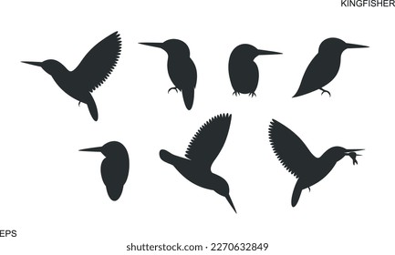 Kingfisher bird silhouette. Isolated kingfisher bird on white background