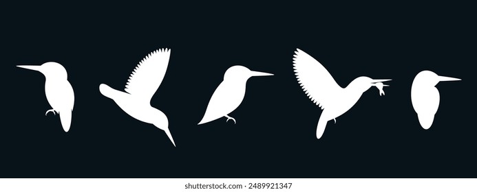 Kingfisher bird silhouette. Isolated kingfisher bird on white background