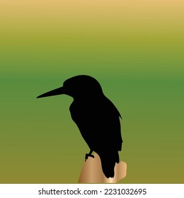 kingfisher bird in silhouette perched in branch stock illustration