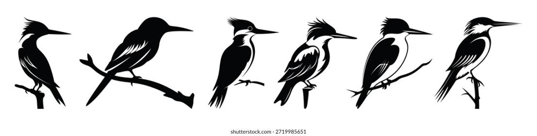 Conjunto de silueta de pájaro de martín pescador Ilustración vectorial