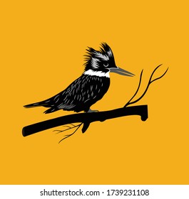 arte vectorial de esténcil de ave de kingfisher. Se puede usar para cualquier propósito.