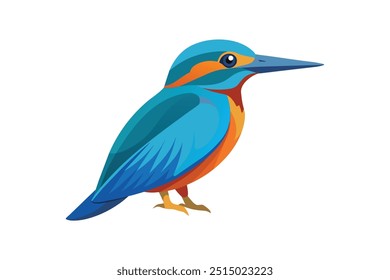 Kingfisher bird vector art illustration 