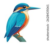 kingfisher bird vector illustration design.
