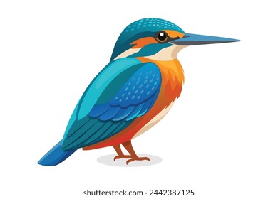 Kingfisher Bird vector illustration on white background