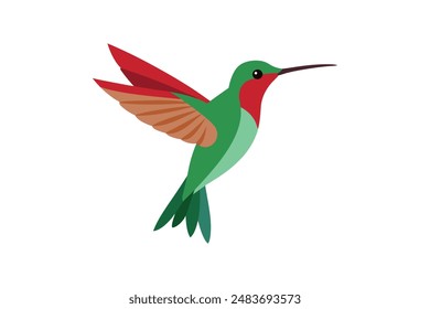 Kingfisher bird vector image illustration