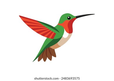 Kingfisher bird vector image illustration