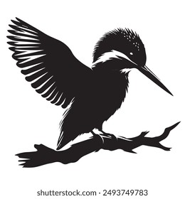 Kingfisher birds silhouette victor illustration