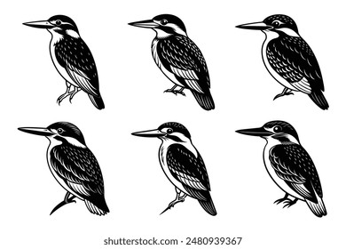 Kingfisher black silhouette Vector illustration   