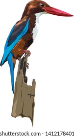 Kingfisher or Blue Bird drawing Vector