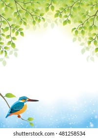 kingfisher by a river