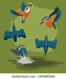 Kingfisher catch fishes Cartoon Vector Animation Sequence