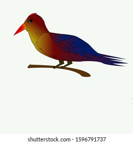 kingfisher color blue yellow red on a branch