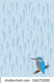Kingfisher and fish shadow