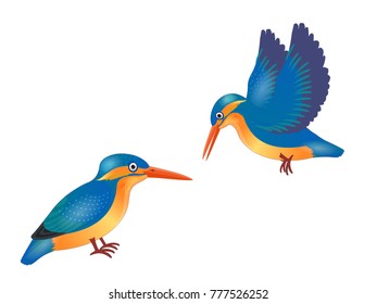 Kingfisher Flying and Sitting - Cartoon Vector Image