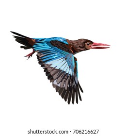 Kingfisher flying Vector