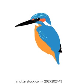 Kingfisher have bright coloration. They are colorful river birds that used to eat little fish.