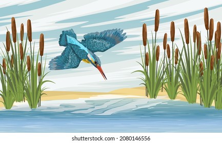 Kingfisher hunting near the lake with cattail on the shores. Coastal vegetation and wild birds. Realistic vector landscape