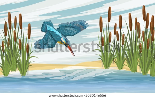 Kingfisher hunting near the lake with cattail\
on the shores. Coastal vegetation and wild birds. Realistic vector\
landscape