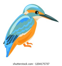 Kingfisher icon. Cartoon of kingfisher vector icon for web design isolated on white background
