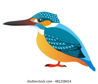 Eisvogel Stock Illustrations, Images & Vectors | Shutterstock