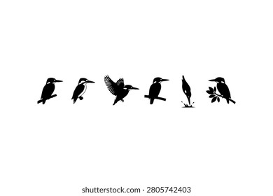 Kingfisher Silhouette Vector Collection Set