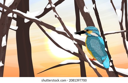 The kingfisher sits on the branches of a tree in the snow. Wild birds in winter. Realistic vector landscape