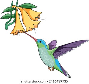 kingfisher sucking nectar from the flowers svg