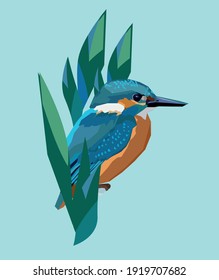 Kingfisher vector illustration bird vector