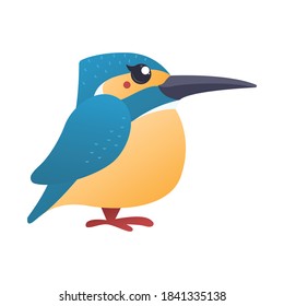 Kingfisher, vector illustration of bird on the white background