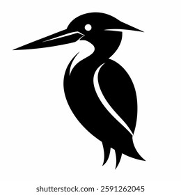 kingfisher vector on white Background 