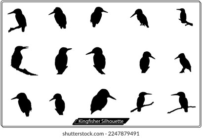 kingfisher vector silhouette Isolated vector