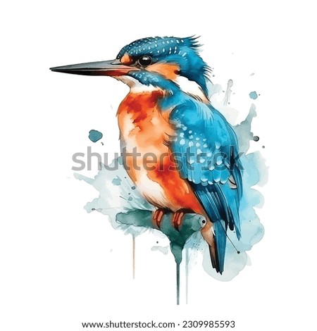 Kingfisher vector watercolor painting ilustration