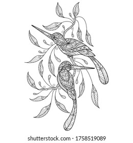 Kingfisher.
Zentangle stylized cartoon isolated on white background. 
Hand drawn sketch illustration for adult coloring book. 
