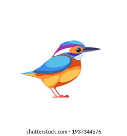 Kingfishers or Alcedinidae are a family, brightly colored birds in the order Coraciiformes. Bird cartoon flat beautiful character of ornithology, vector illustration isolated on white background. 